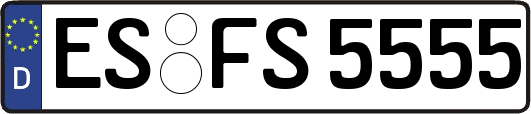 ES-FS5555