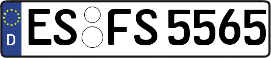 ES-FS5565
