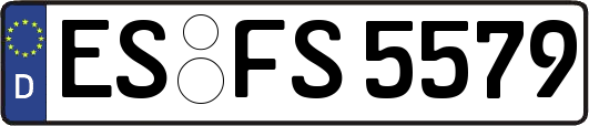 ES-FS5579