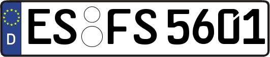 ES-FS5601