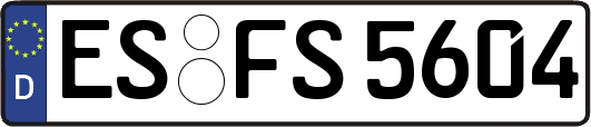 ES-FS5604