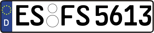 ES-FS5613