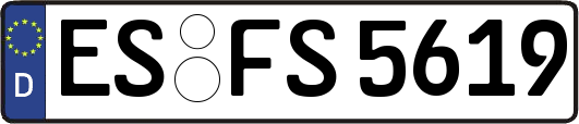 ES-FS5619