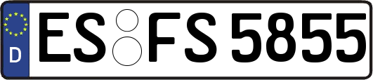 ES-FS5855