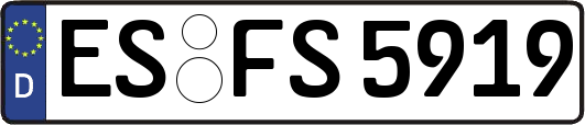 ES-FS5919