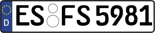 ES-FS5981