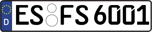 ES-FS6001