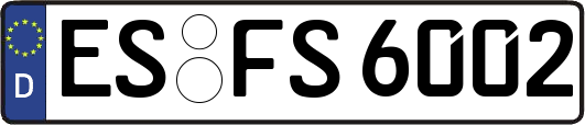 ES-FS6002