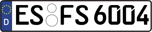 ES-FS6004