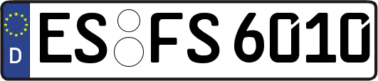 ES-FS6010