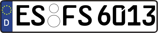 ES-FS6013