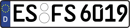 ES-FS6019