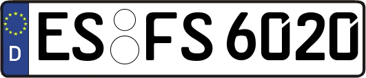 ES-FS6020