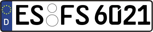 ES-FS6021