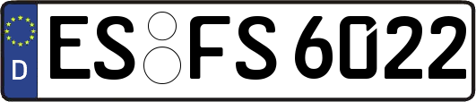 ES-FS6022