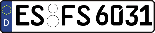 ES-FS6031