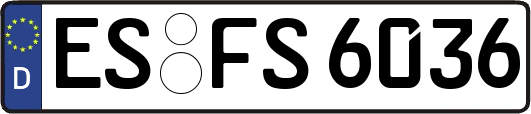 ES-FS6036
