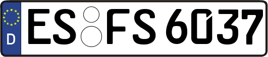 ES-FS6037
