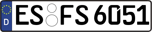 ES-FS6051