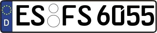 ES-FS6055