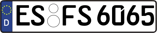ES-FS6065