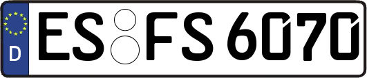 ES-FS6070