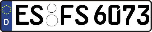 ES-FS6073
