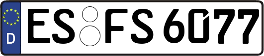 ES-FS6077