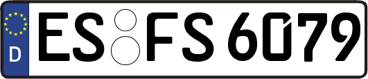 ES-FS6079