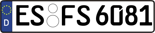ES-FS6081