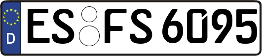 ES-FS6095
