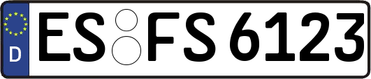ES-FS6123