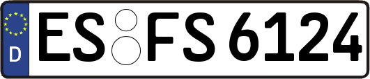ES-FS6124