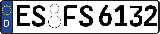 ES-FS6132