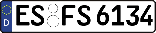 ES-FS6134
