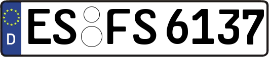 ES-FS6137