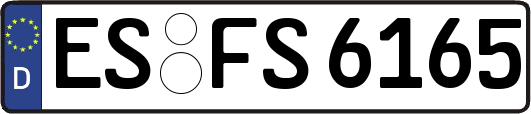 ES-FS6165