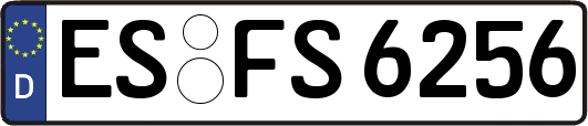 ES-FS6256