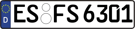 ES-FS6301