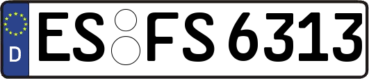 ES-FS6313