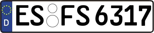 ES-FS6317