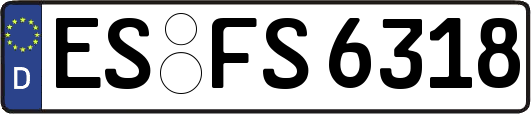 ES-FS6318
