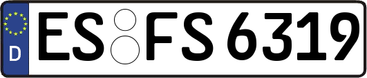 ES-FS6319