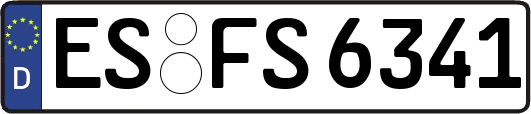 ES-FS6341