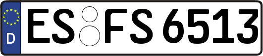 ES-FS6513