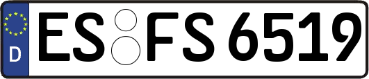 ES-FS6519