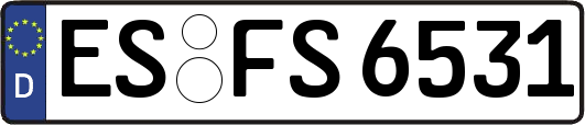 ES-FS6531