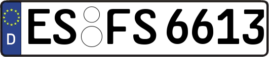 ES-FS6613