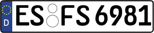 ES-FS6981