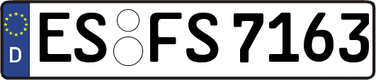 ES-FS7163